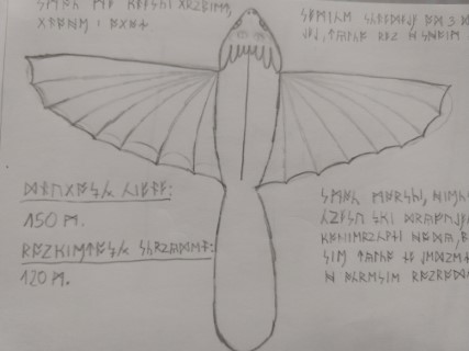 Szkic Morskiego Pożeracza