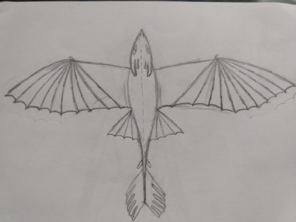 Szkic Tytanowej Furii